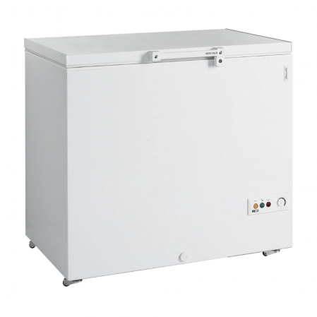 Скриня морозильна Tefcold FR305 SL